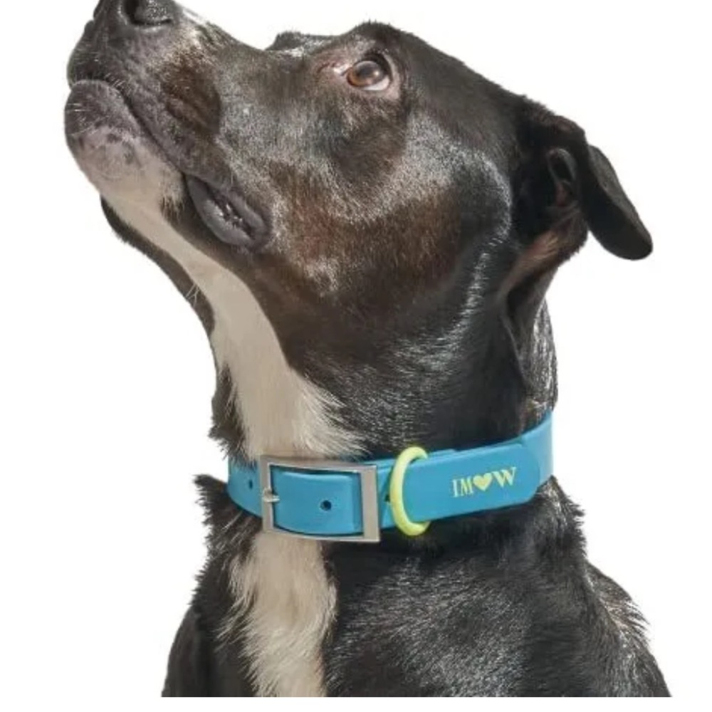 NEW Wild One Isaac Mizrahi Dog Collar Waterproof Blue Small Metal Buckle Close